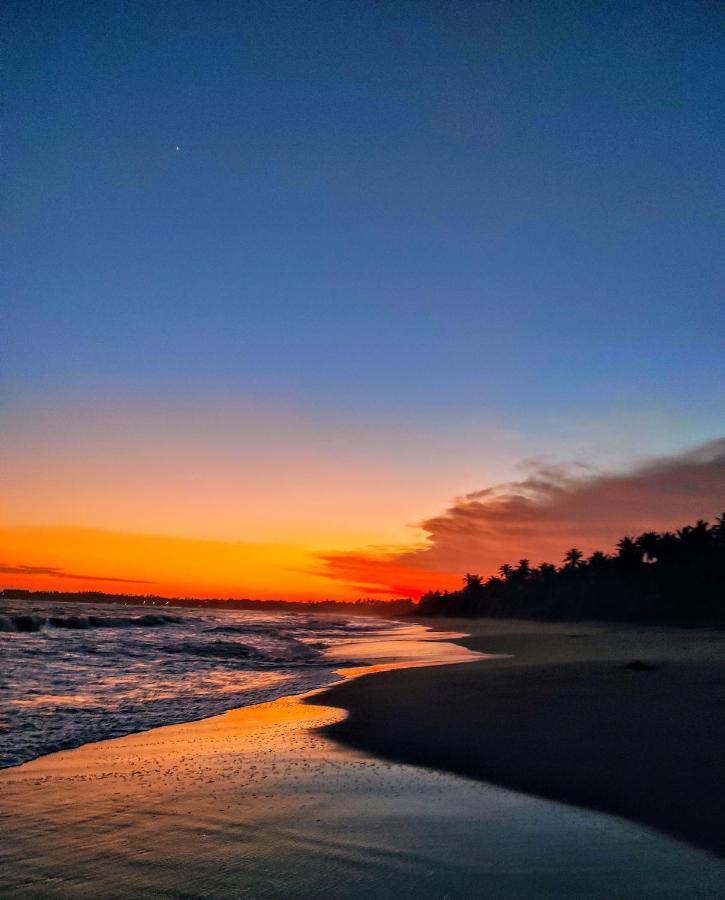 Sleeping Elephant Beach Resort Тангалле Екстер'єр фото