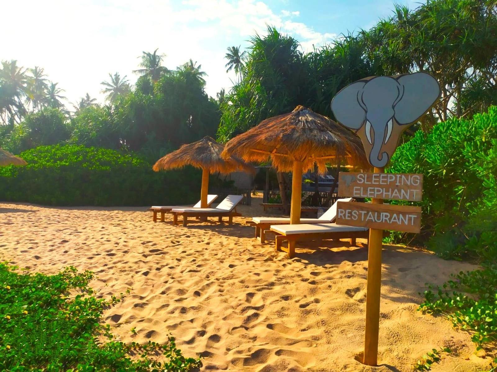 Sleeping Elephant Beach Resort Тангалле Екстер'єр фото