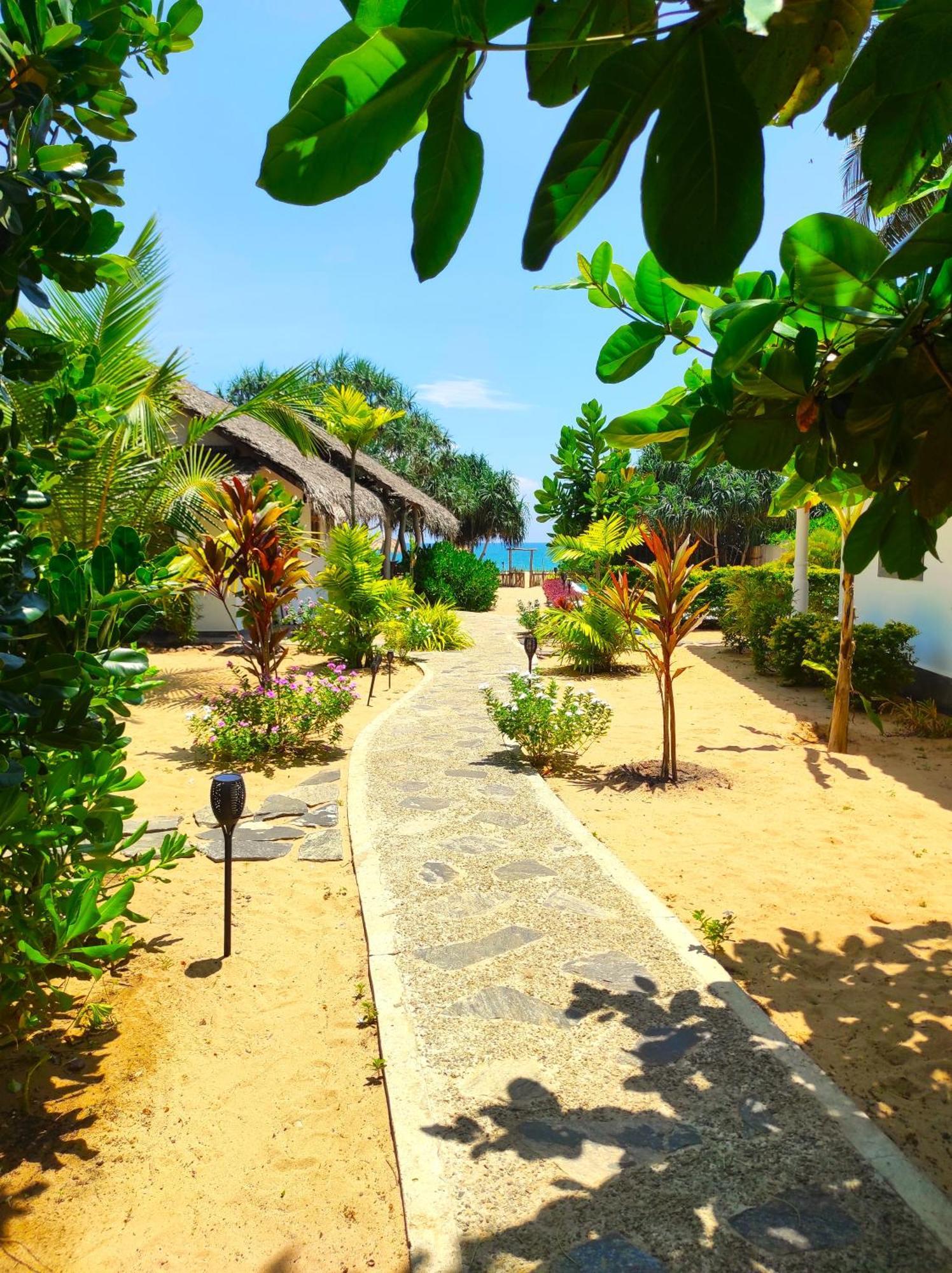 Sleeping Elephant Beach Resort Тангалле Екстер'єр фото